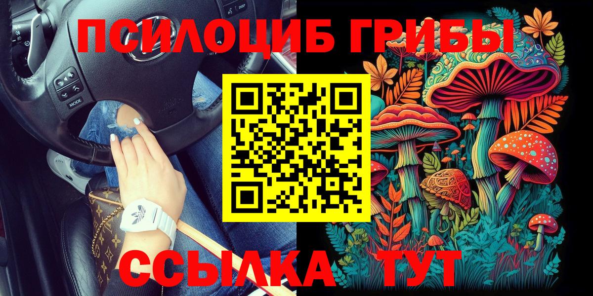Галлюциногенные грибы Psilocybine cubensis Белорецк