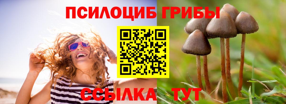 Псилоцибиновые грибы Cubensis  Галлюциногенные грибы GOLDEN TEACHER  Вход с VPN  Белорецк 